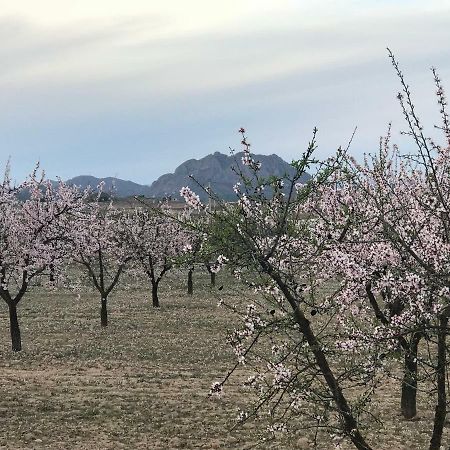 Las Ventanas Cortijo De Los Castellanos المظهر الخارجي الصورة