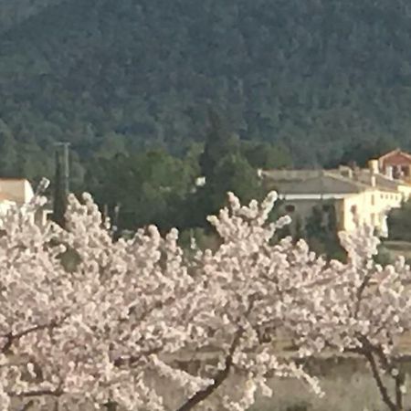 Las Ventanas Cortijo De Los Castellanos المظهر الخارجي الصورة