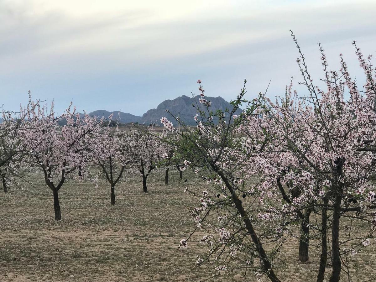 Las Ventanas Cortijo De Los Castellanos المظهر الخارجي الصورة